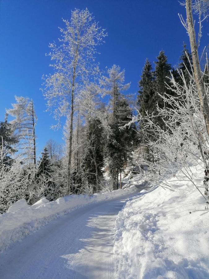 Kanis 80 Schnepfau Bagian luar foto